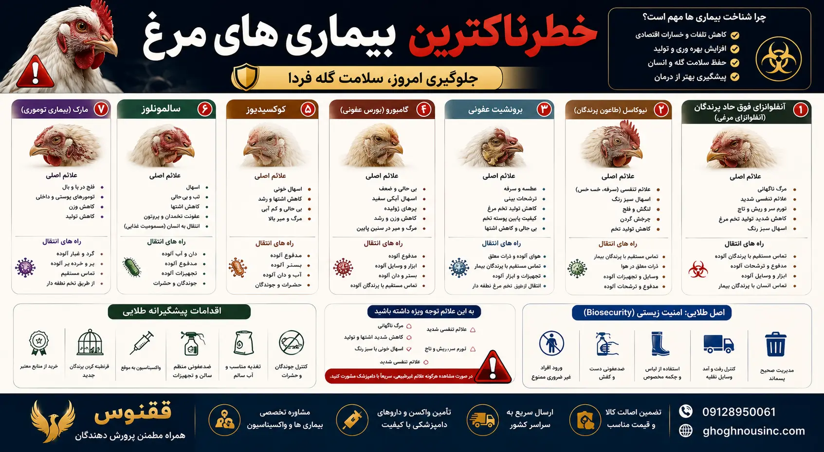 بیماری های مرغ