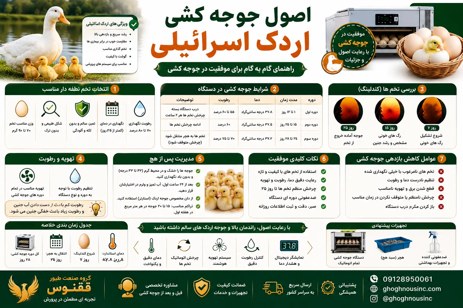اصول جوجه کشی اردک اسرائیلی