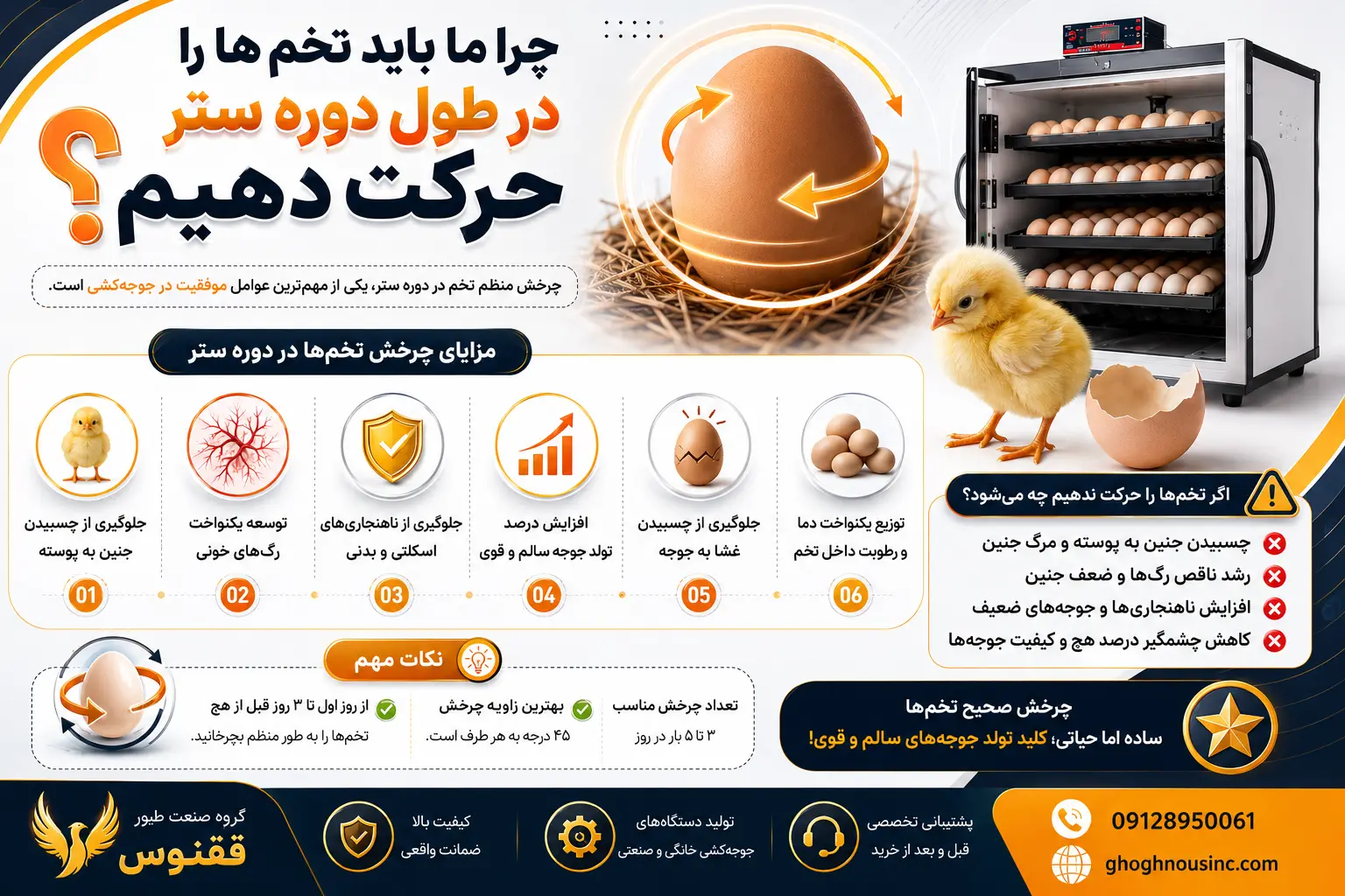 دلایل چرخش تخم