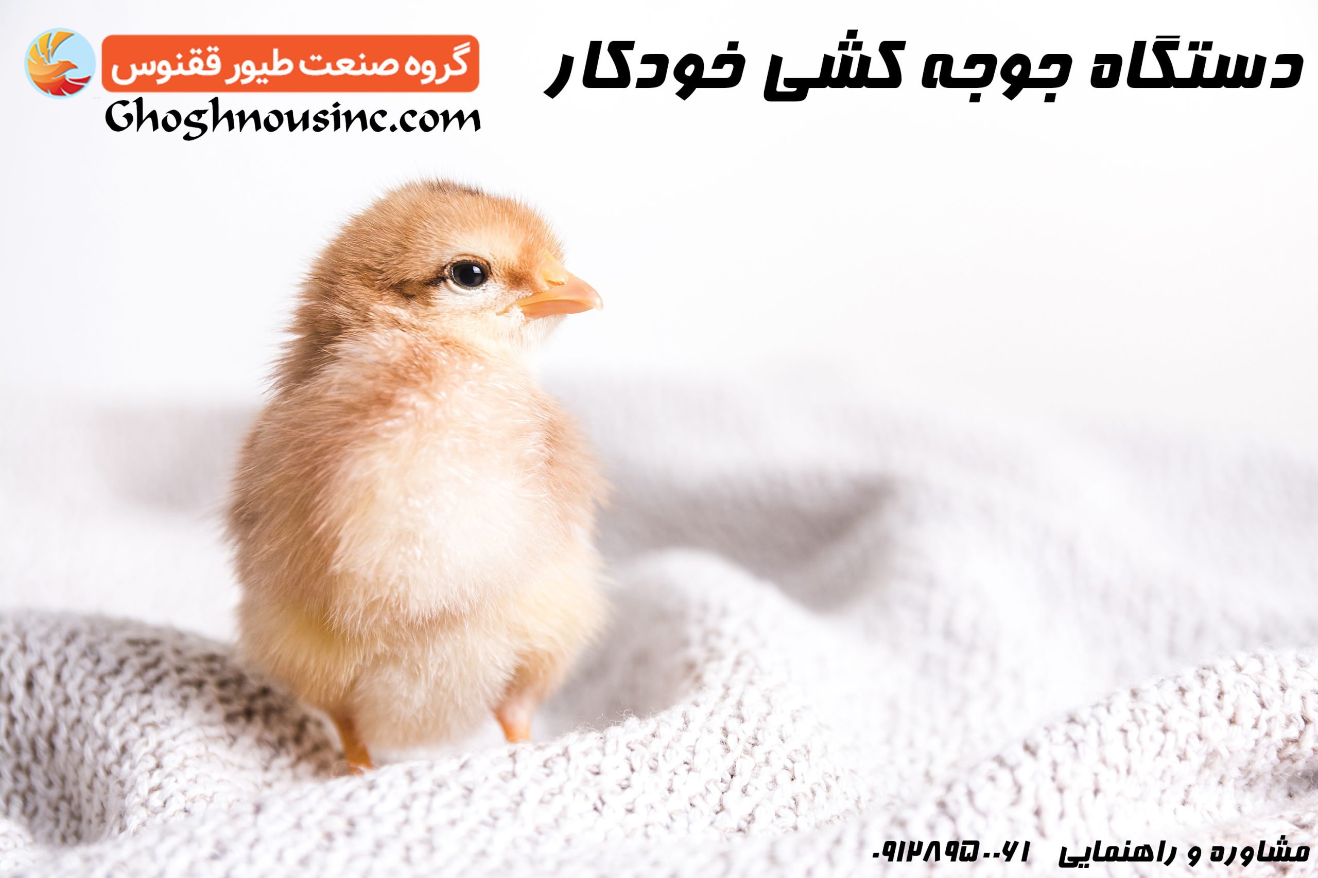 دستگاه جوجه کشی خودکار