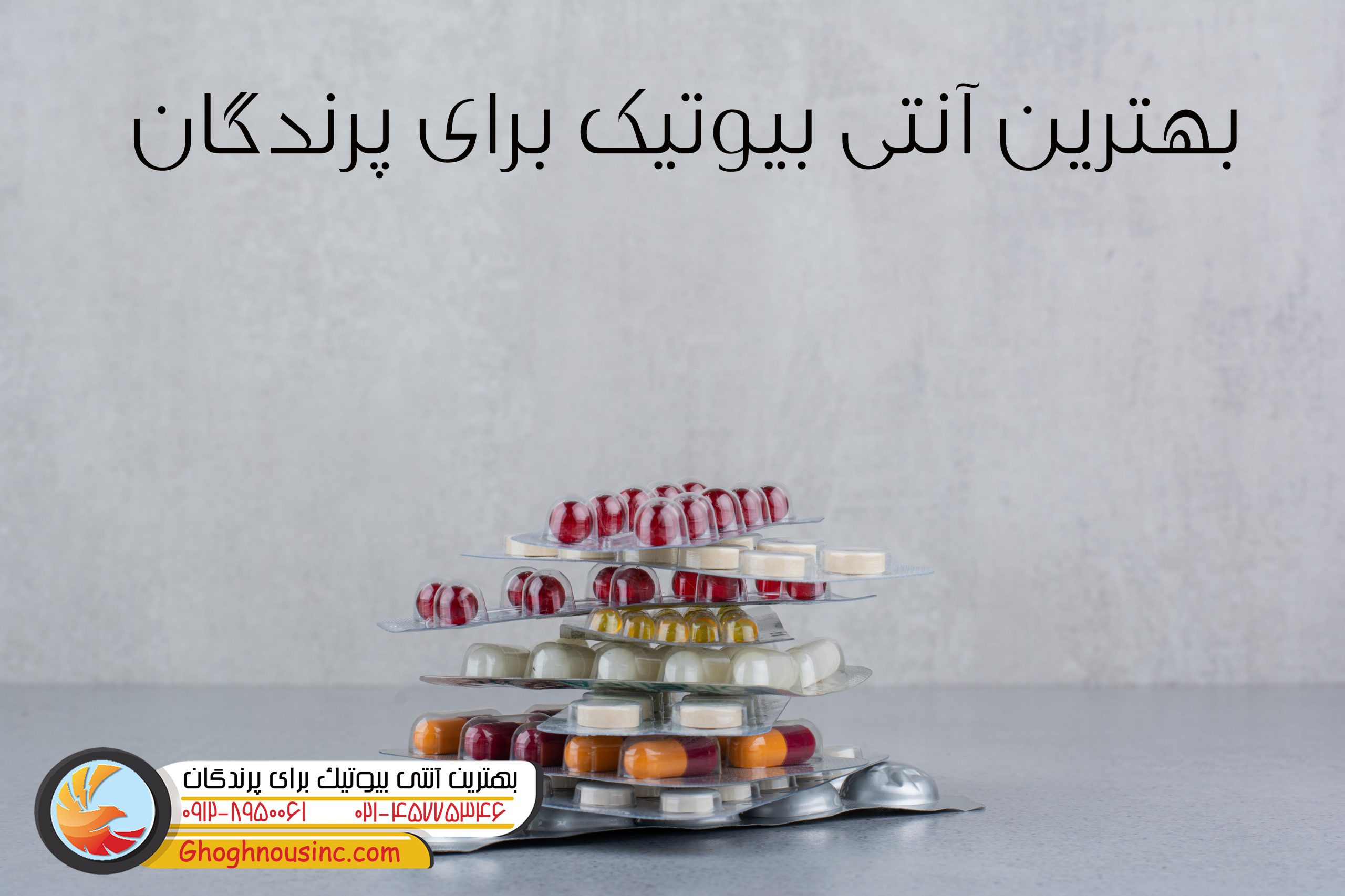 بهترین انتی بیوتیک برای پرندگان