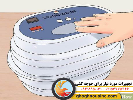 تجهیزات مورد نیاز برای جوجه کشی