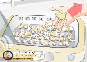 ظرفیت دستگاه جوجه کشی