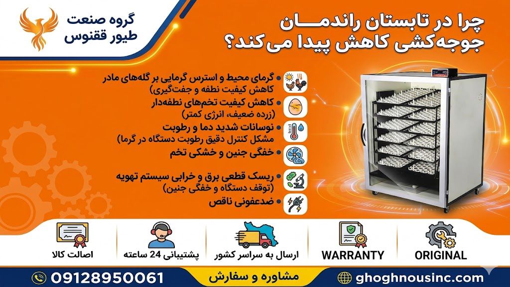 چرا در تابستان راندمان جوجه کشی کاهش پیدا می کند