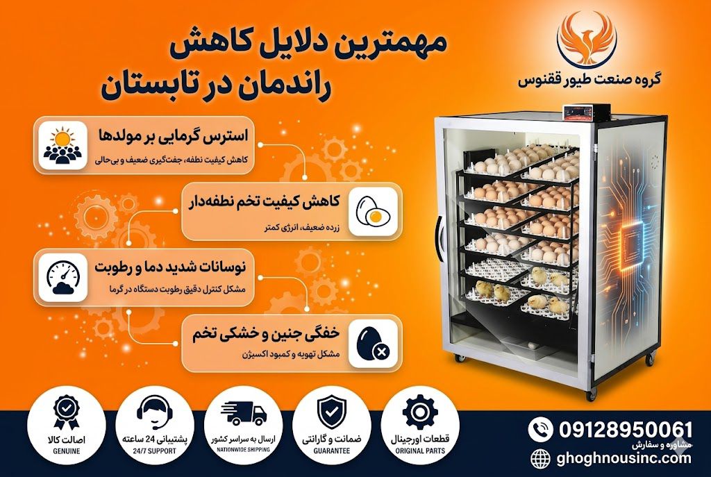 چرا در تابستان راندمان جوجه کشی کاهش پیدا می کند؟ مهم ترین دلایل کاهش راندمان در فصل تابستان