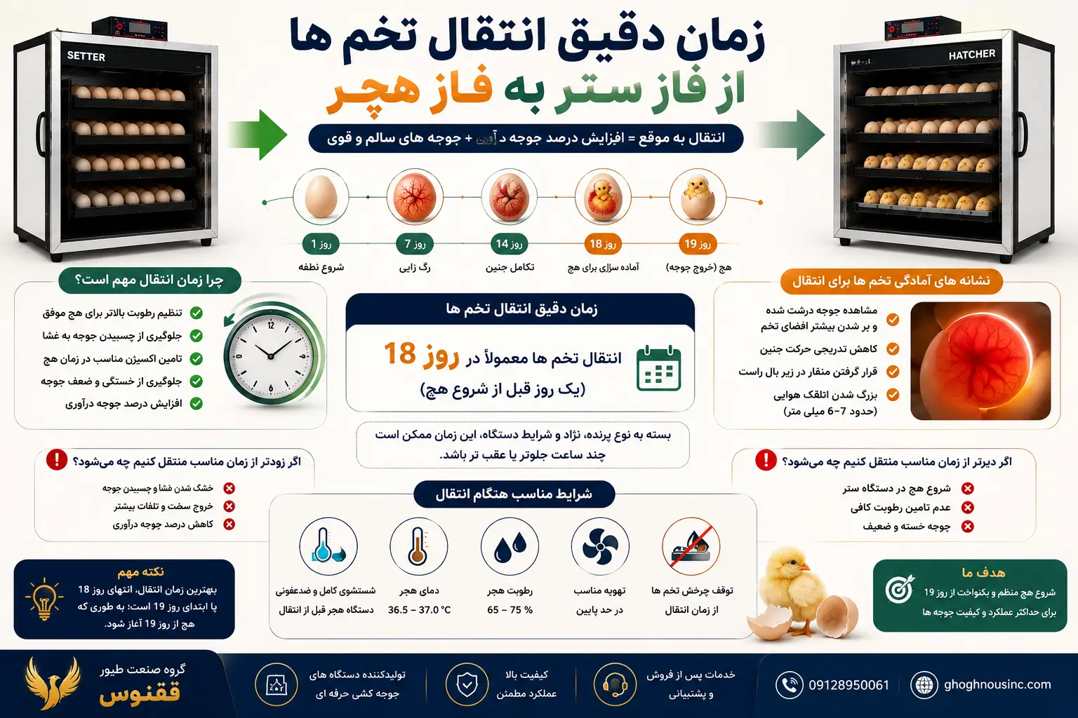 آموزش کامل جوجه کشی از مرغ زمان دقیق انتقال تخم ها از فاز ستر به فاز هچر