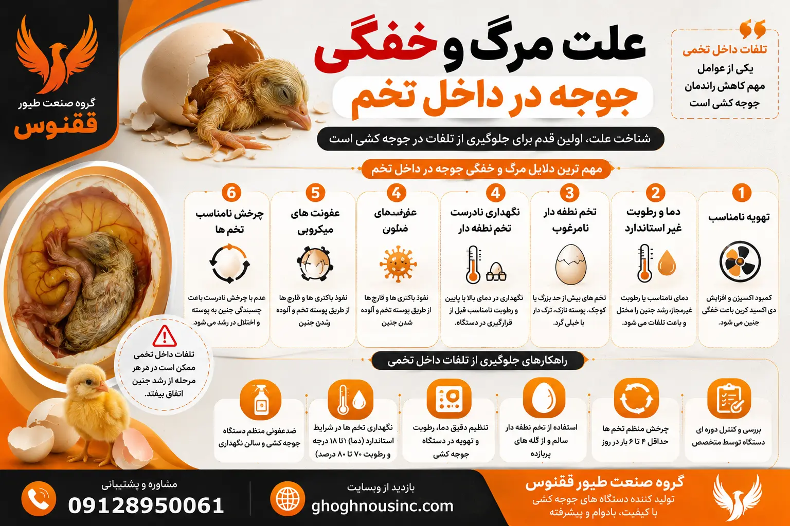 علت مرگ و خفگی جوجه در داخل تخم