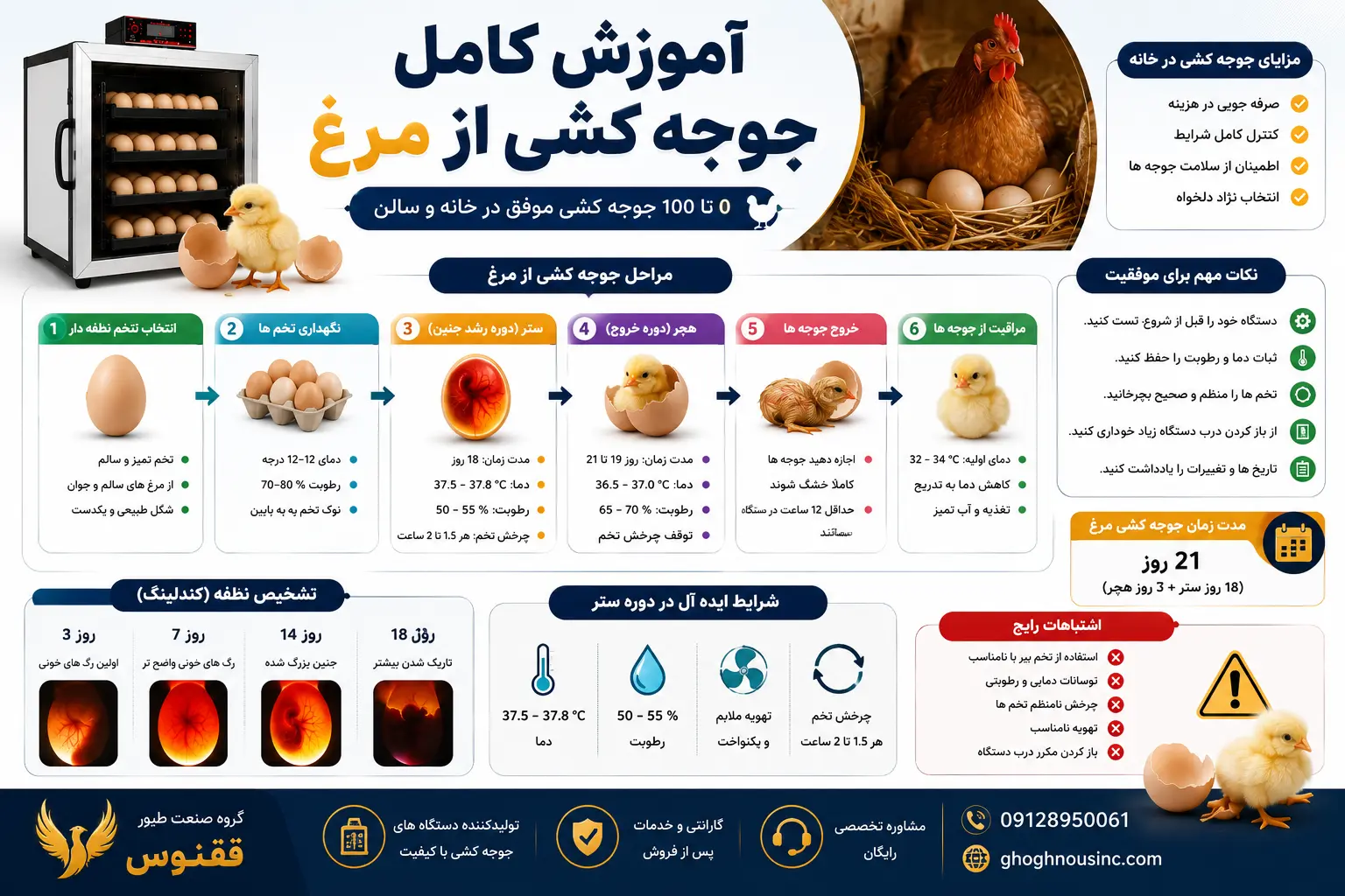 آموزش کامل جوجه کشی از مرغ آموزش کامل جوجه کشی از مرغ
