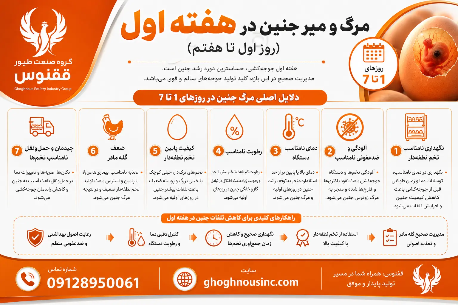 مرگ و میر جنین در هفته اول (روز اول تا هفتم)