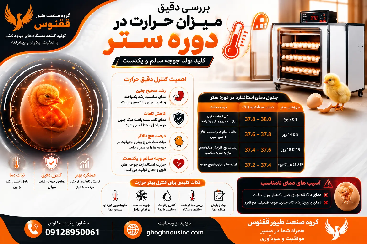 حرارت دوره ستر