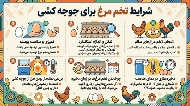 شرایط تخم مرغ برای جوجه کشی