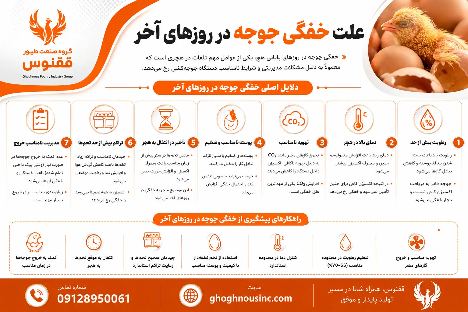علت خفگی جوجه در روزهای آخر