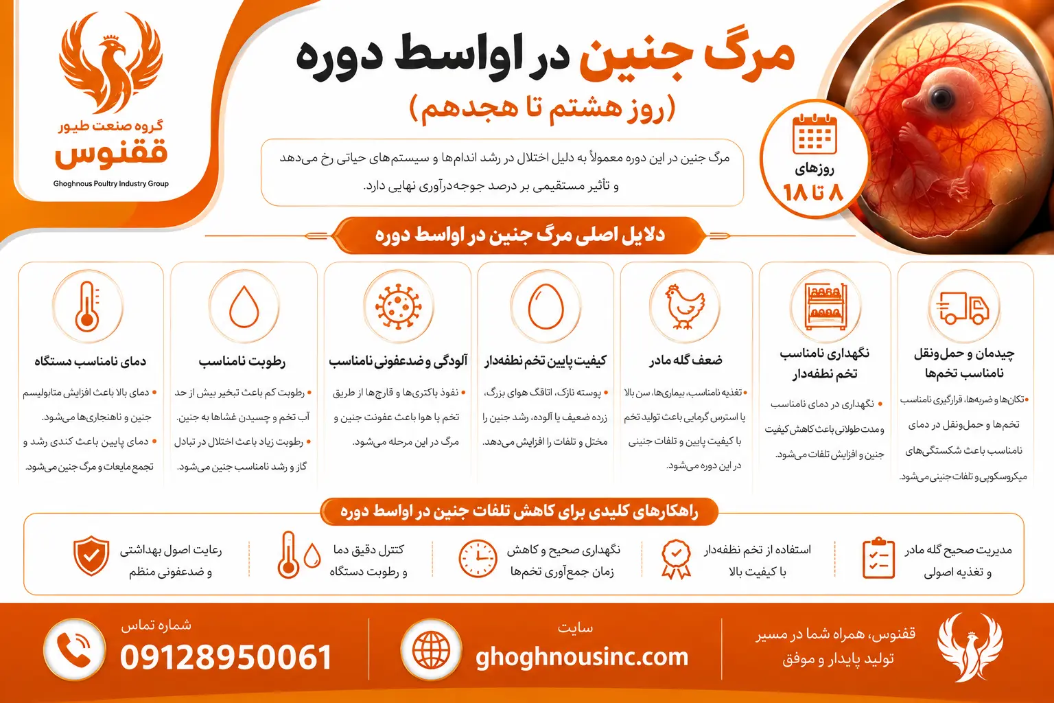 مرگ جنین در اواسط دوره