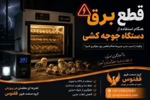 قطع برق هنگام استفاده از دستگاه جوجه کشی