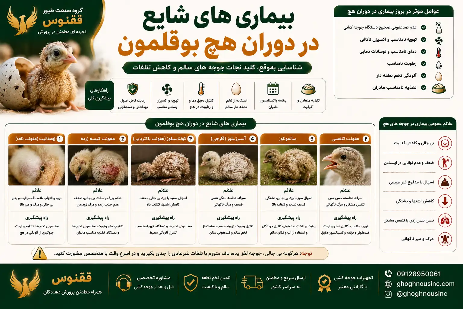بیماری های شایع بوقلمون