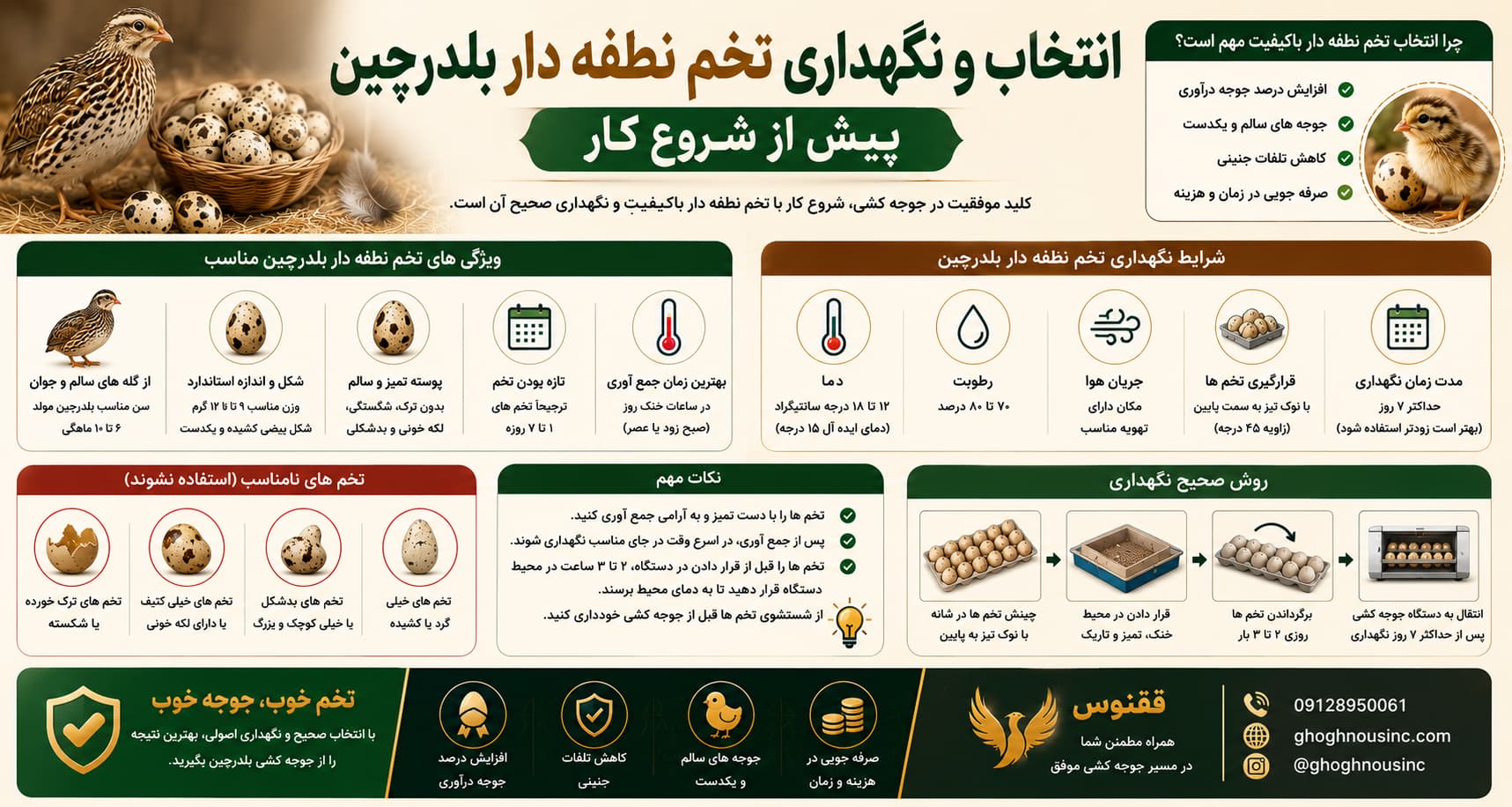انتخاب و نگهداری تخم نطفه دار بلدرچین پیش از شروع کار