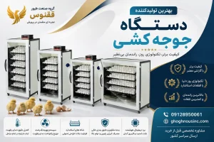 بهترین دستگاه جوجه کشی