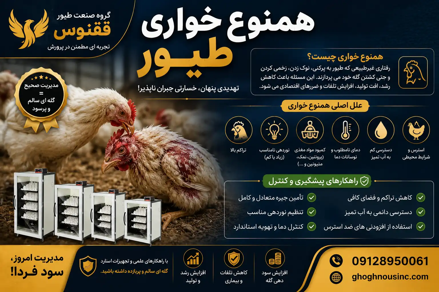 همنوع خواری طیور