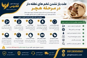 باز نشدن تخم های نطفه دار