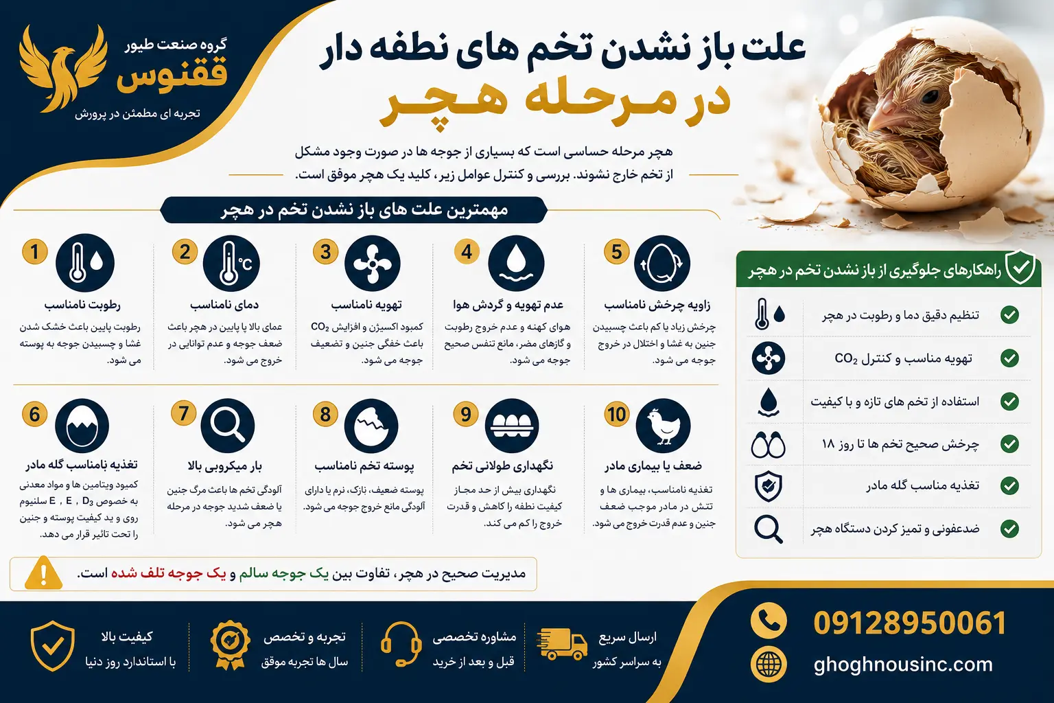 باز نشدن تخم های نطفه دار