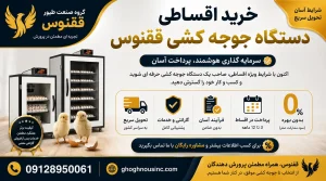 خرید اقساطی دستگاه جوجه کشی ققنوس